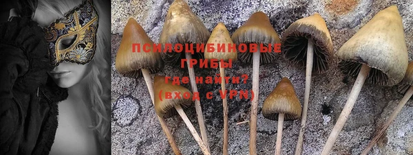 spice Балахна