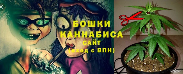 spice Балахна