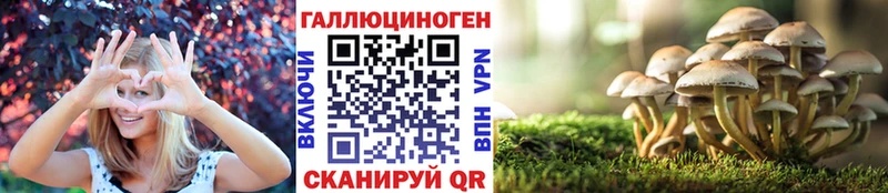 Галлюциногенные грибы Psilocybe Кущёвская